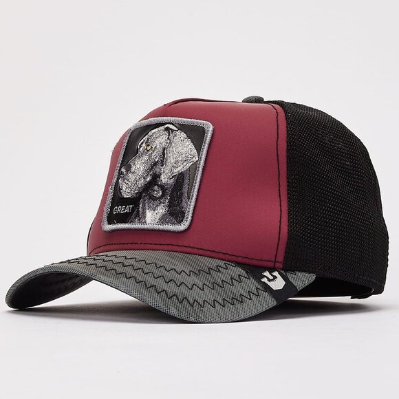 NWT Goorin Bros LIMITED RELEASE Great Dane Dog Farm Animal Hat - Picture 1 of 6